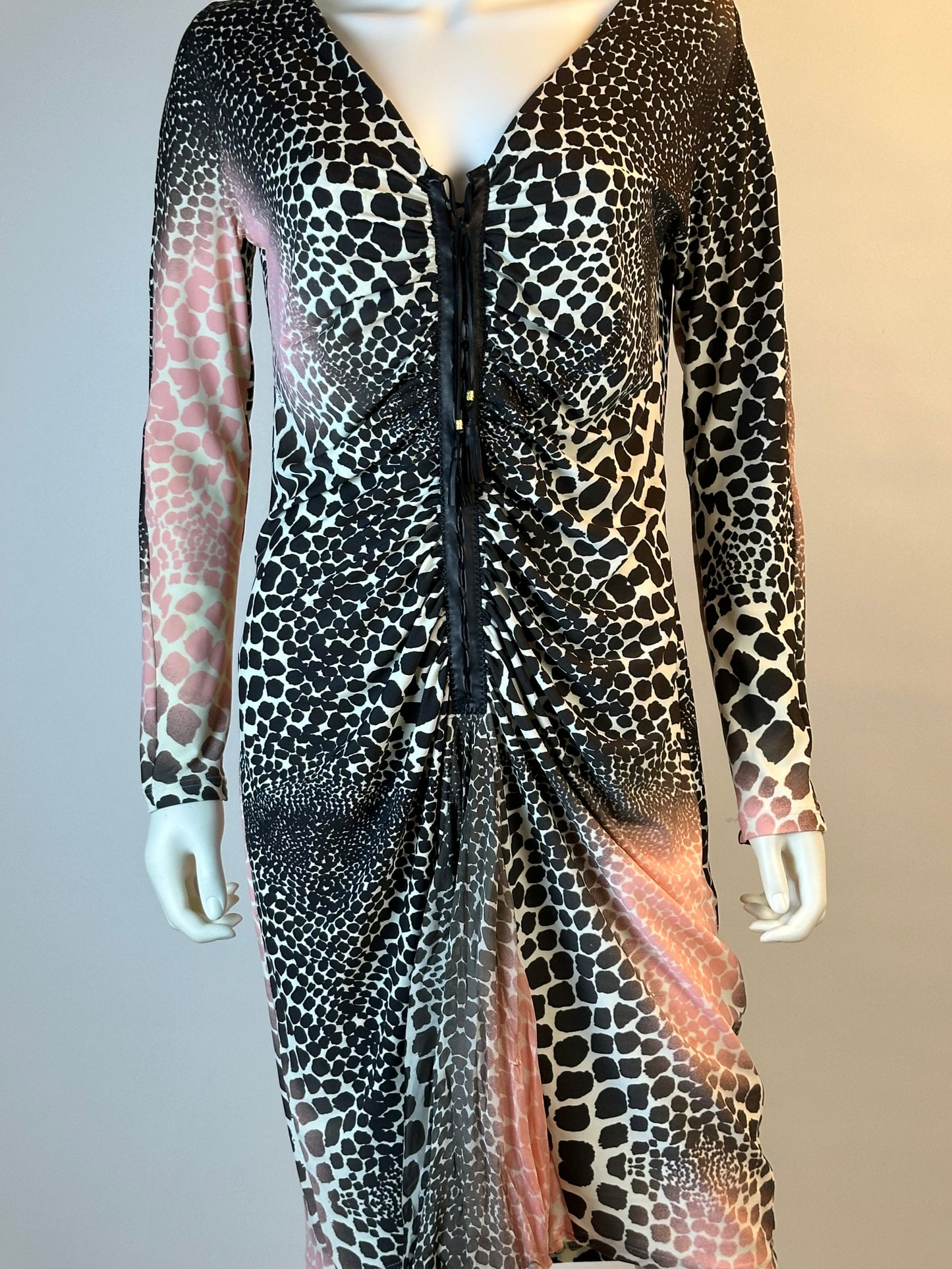 Roberto Cavalli SS 2004 Printed Dress