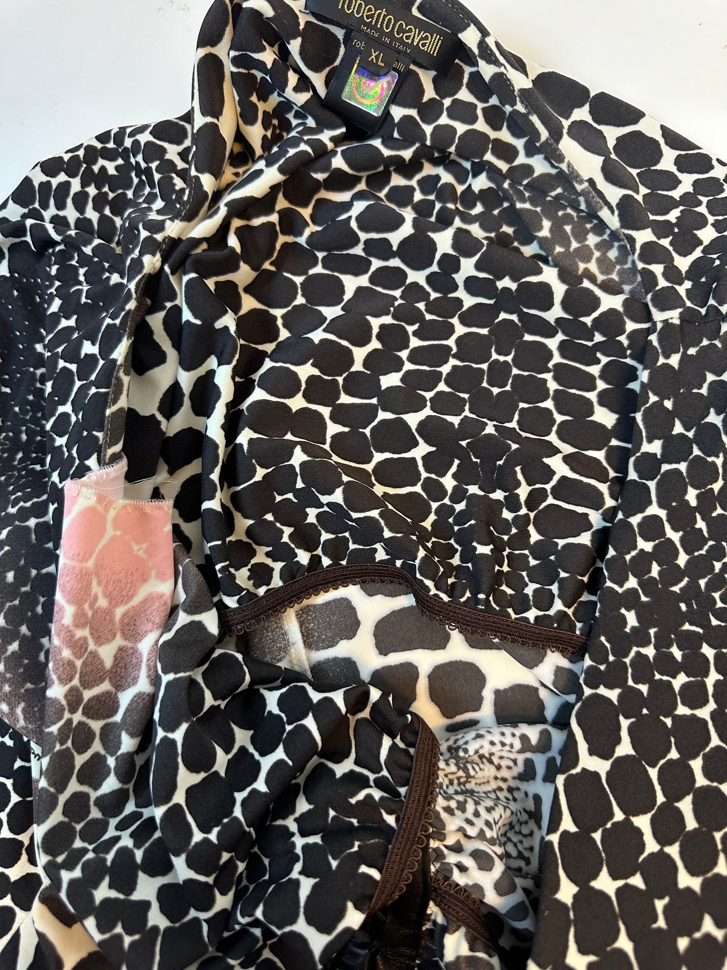 Roberto Cavalli SS 2004 Printed Dress